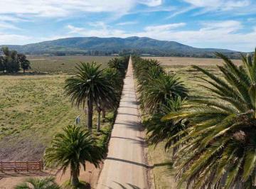 Campo · 3ha · Chacras Marítimas de 3 a 4 Ha Tranquilo Aznarez