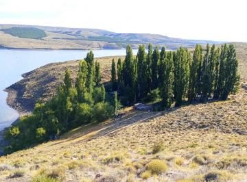Campo · Estancia Paso Chacabuco - Rio Negro