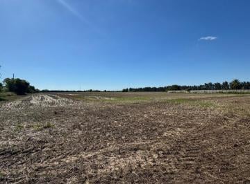 Campo · 21200m² · 1 Ambiente · 2,1 Hectáreas en Av Aristobulo del Valle 11000