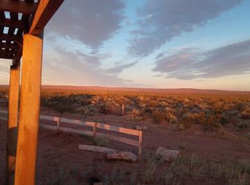 Terreno · 10000m² · Venta Lotes Pueblo Vaca Muerta Neuquen