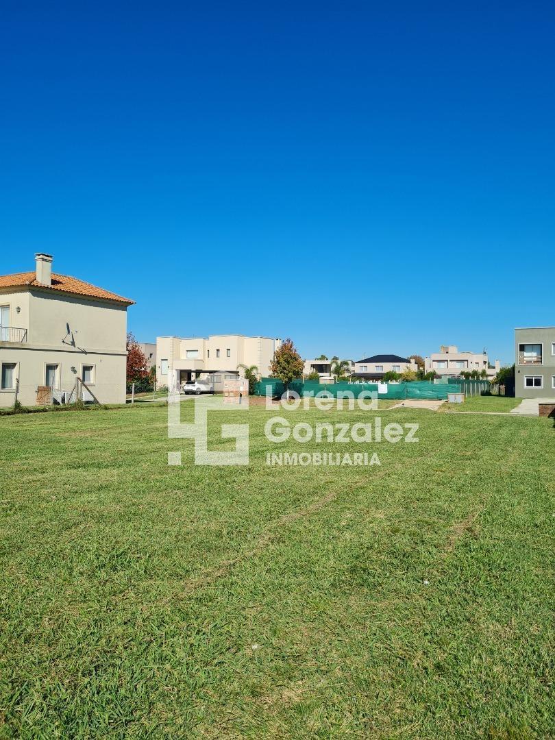 Old Man 700,  Haras Santa María, Loma Verde
