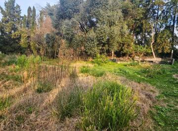 Terreno · 1250m² · Espectacular Lote en Carmel C. C.
