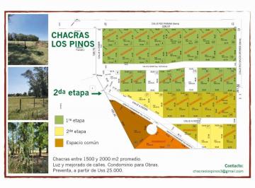 Terreno · 1500m² · Terreno Lote en Venta en El Remanso, Exaltación de La Cruz, G. B. a. Zona Norte