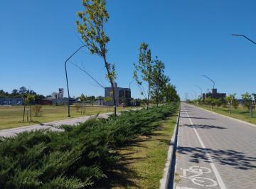 Terreno · 300m² · Venta - Terreno. Eco Tierra, Pueblo Esther.