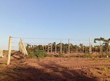 Quinta vacacional · 4000000m² · Greenwood Te Ofrece Hermosa Finca en Santa Rosa de 400 Ha!