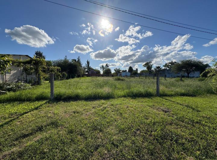 Terreno · 1000m²