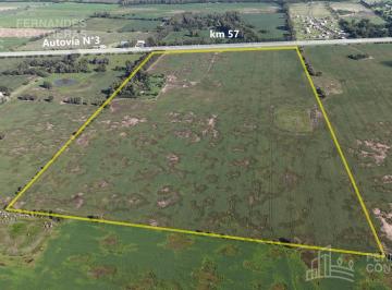 Campo · 520000m² · 4 Dormitorios · Campo en Venta 53 Has Sobre Autovía
