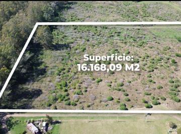 Terreno , Tandil · Lote - Manzana en Venta Zona Quinta Banco Provincia