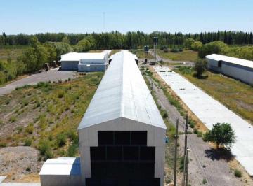 Bodega-Galpón · 2238m² · Alquiler Galpon Apto Industria, Allen