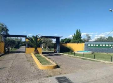 Terreno · 380m² · Venta de Lotes, B° Rosa Mosqueta, La Primavera
