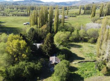 Campo · 47000m² · 5 Ambientes · Venta de Chacra de 4,7 Hectáreas con Casa, en Alumine, Provi