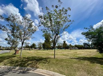 Terreno , Pilar · Lote en Venta en Barrio Santo Tomas Km50 Pilar
