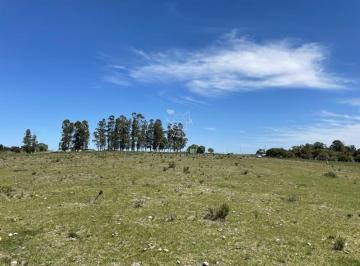 Foto1 · Muy Linda Parcela de Campo Sobre Ruta a Pocos Km de Maldonado