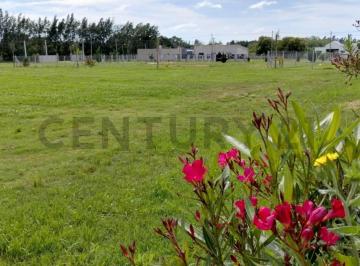 Terreno · 658m² · 143 y 620 Lotes en Venta Arana