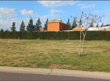 Terreno · 10000m² · Terreno en San Matias