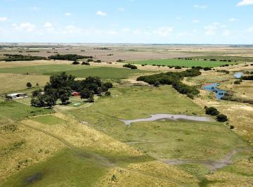 Campo · 7910000m² · Campo de 791 Ha en Samborombón, Chascomús