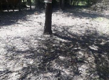 Terreno , Cosquín · Ref 392 Lote en Venta en Barrio La Mandigna, Cosquin, Aceptamos Financiación!