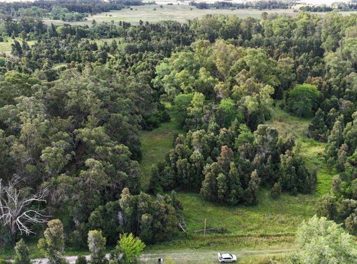 Terreno · 53665m²