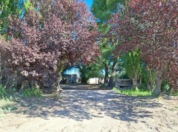 Campo , Goudge · Gran Finca en Venta y en Alquiler (Colonia Colomer, Goudge / San Rafael)