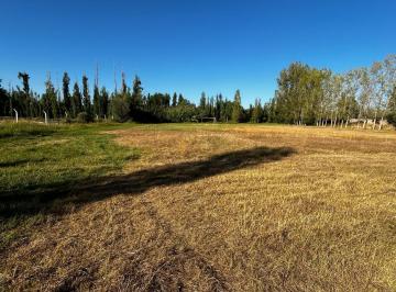 Terreno · 150000ha · Terreno en Carril Rodriguez Peña (Zona Industrial)