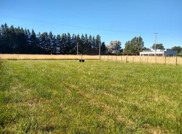 Terreno · 13000m² · Terreno en Lezama Gran Oportunidad!