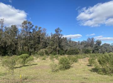 Terreno · 21050m² · Terreno en Estancia El Aduar - Chacra - Zárate - Zona Norte