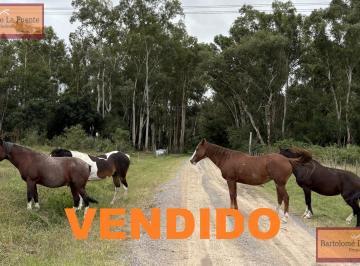 Terreno · 21050m² · Terreno en Estancia El Aduar - Chacra - Zárate - Zona Norte