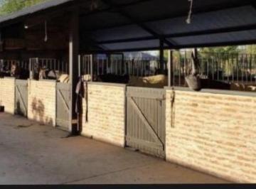 Terreno · 12388m² · Venta Terreno Enchacras de La Trinidad | Vco Propiedades