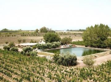 Campo · 250m² · Cubo Vende - Excepcional Finca 30 Ha - Ugarteche - Luján de Cuyo - Mendoza
