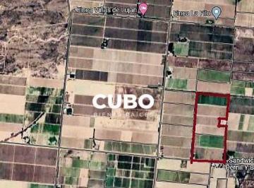Campo · 250m² · Venta Finca 30 Ha Ugarteche, Luján de Cuyo, Mendoza.