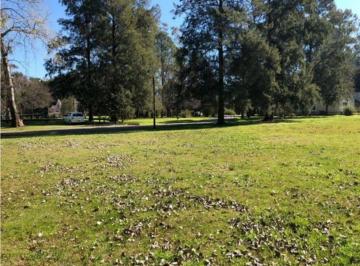 Terreno · 1500m² · Lote en Lomas de San Francisco