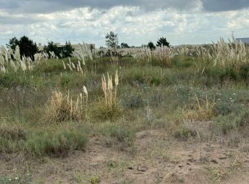 Terreno · 2500m² · Terreno en Villa Gesell - El Salvaje