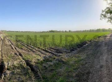 Campo · 120000m² · Finca en Venta San Carlos