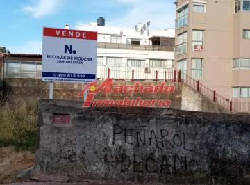 Foto1 · Ideal Para Proyecto