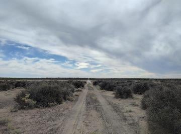 Campo · 37020000m² · Chacra en General Roca
