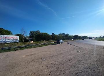 Terreno · 560000m² · Campo/fraccion 56 Ha Sobre Ruta 16