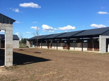 Campo · 886m² · 3 Ambientes · Chacra en Venta - 2 Dorm. 1 Baño - Caballerizas - Los Cardales, Exaltación de La Cruz