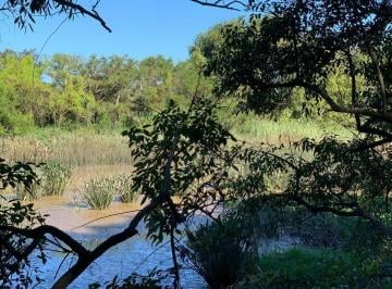 Terreno , Tigre · Terreno Al Río en Canal del Este
