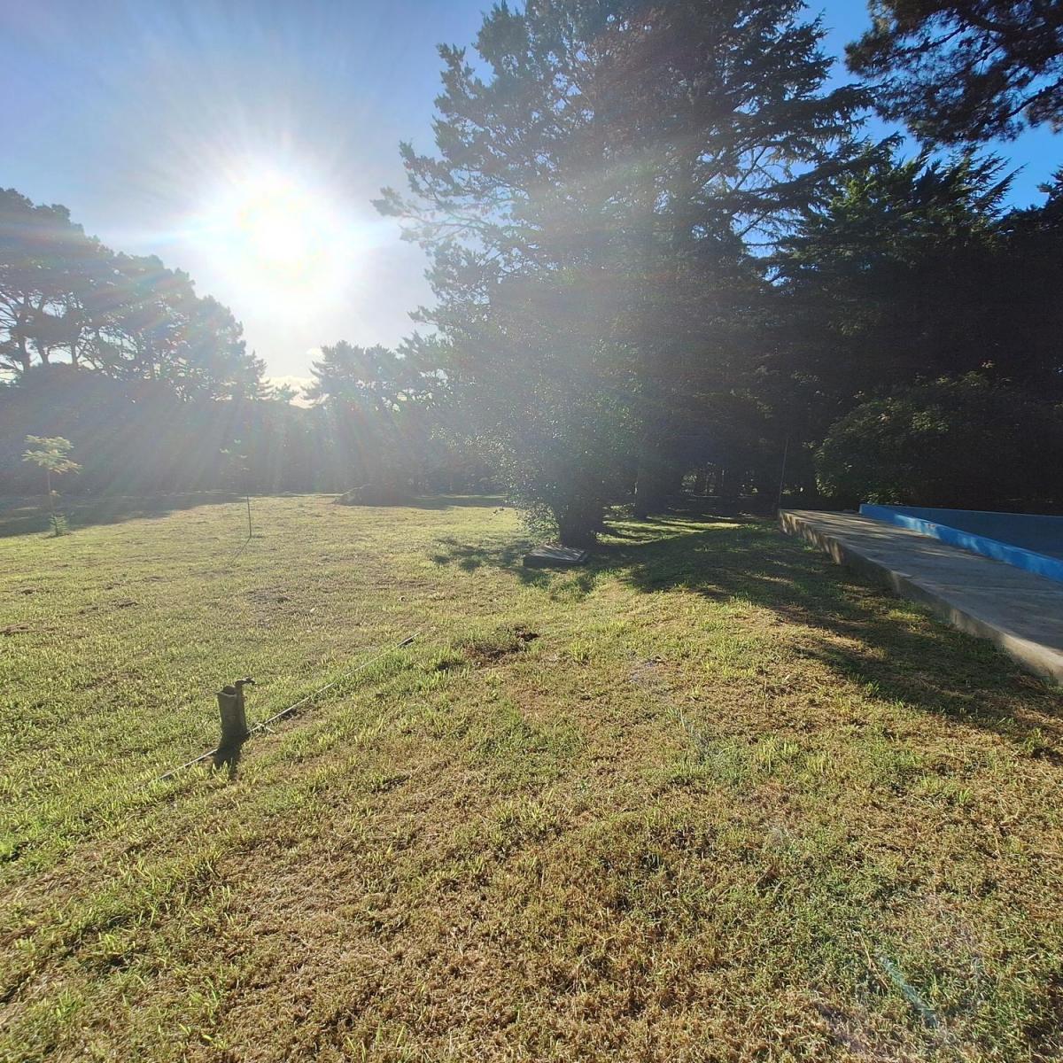Lote de terreno 4125m² en Colinas Verdes Norte con arboleda