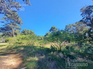Terreno · 5951m² · Terreno - Sobre Av Pedragosa Sierra - 5.951 m² a Pocas Cuadras del Shopping Punta del Este