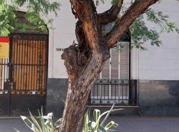 Terreno , Ciudad de Mendoza · Lote en Venta en 5ta Sección