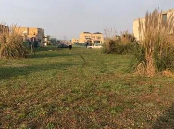 Terreno · 1067m² · Terreno Irregular Venta 1067 m² Totales - El Trébol