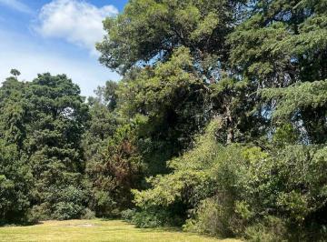 Terreno · 850m² · Terreno en Ezeiza Links 900