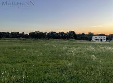 Terreno · 1627m² · Venta Lote Interno en Tilbury Sur Pilará