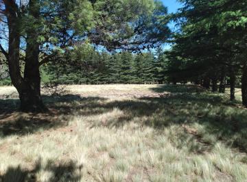 Terreno · 5492m² · Terreno en Venta - 5.492 m² - Tornquist