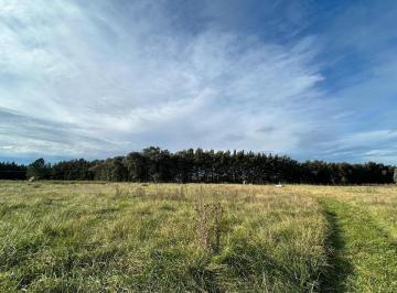 Terreno · 13300m² · Terreno en Venta - 13.300 m² - San Miguel del Monte