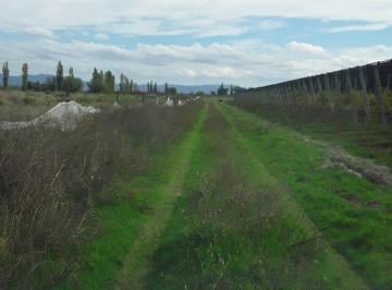 Terreno , Salto de las Rosas · Se Vende Terreno de 5 Ha en Los Claveles - Salto Las Rosas, San Rafael