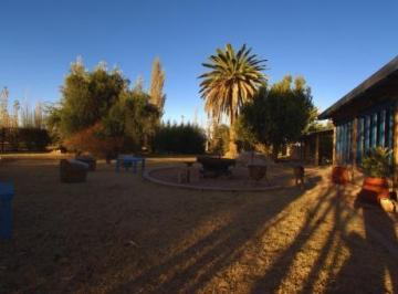 Campo · 530m² · 5 Dormitorios · Finca en Venta 4 Ha Cuadro Benegas 2 Propiedades San Rafael Mendoza