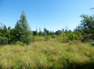 Terreno , Los Reartes · Lote Esquina en Venta con 39 m de Frente a Ruta en Los Reartes