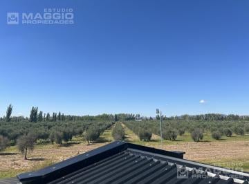Campo · 500m² · 10 Ambientes · Finca en Cuadro Benegas